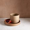 Hasami Porcelain Teacup and Plate